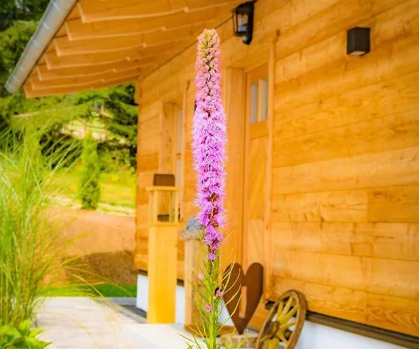 Domek alpejski Wistlberg Wohlfuehlchalet *